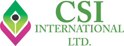 CSI Intrnatinal Company Logo