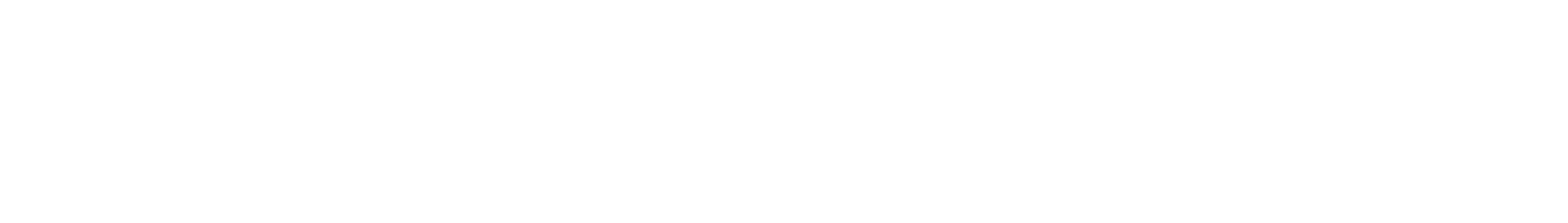 CSI Intrnatinal Company Logo