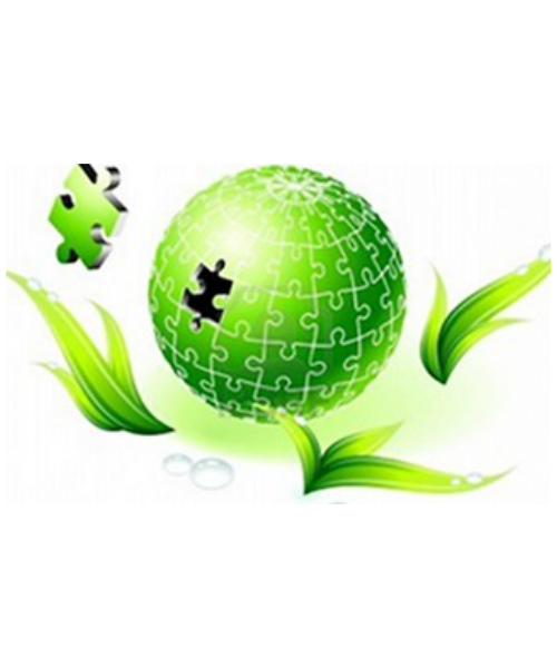 CSI International Service Image