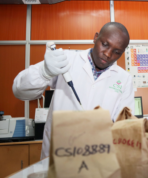 CSI International Service Image