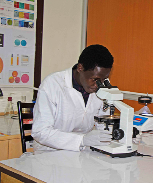 CSI International Service Image