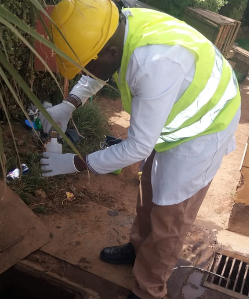 CSI International Service Image