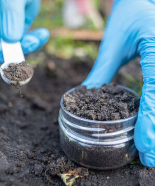 CSI International Service Image