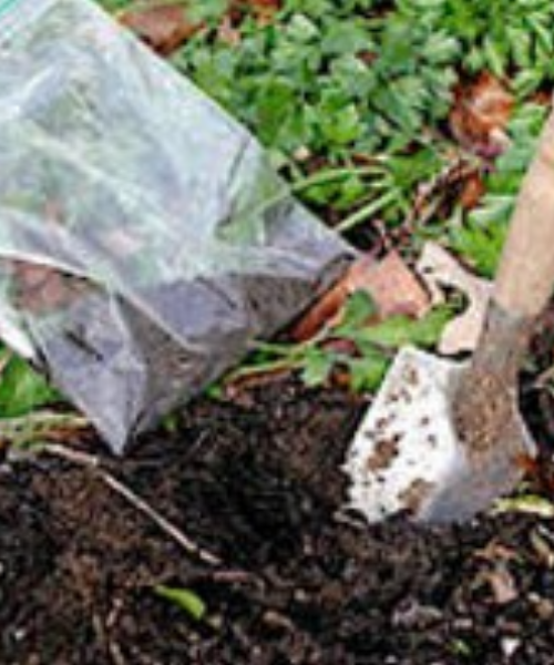 CSI International Service Image